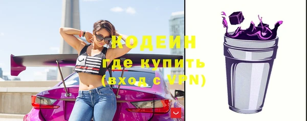 гидра Новозыбков