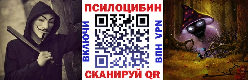 наркотики  Омутнинск  Псилоцибиновые грибы ЛСД 